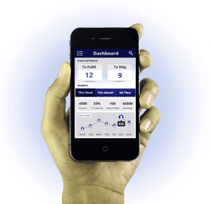 ecommerce mobile-300x290-1